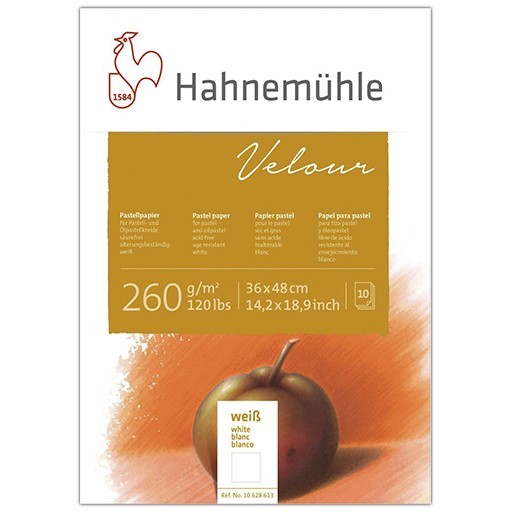 HAHNEMÜHLE VELOUR BLOC PAPIER PASTEL 260 G