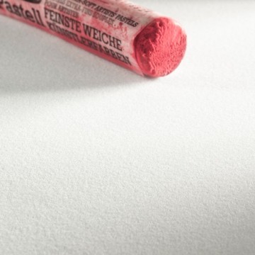 HAHNEMÜHLE VELOUR CARTA PER PASTELLO 260 G FOGLIE SFUSE