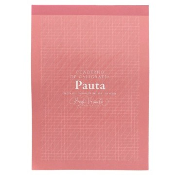 BEGO VIÑUELA PAUTA KALLIGRAPHIE NOTIZBUCH COPPERPLATE 100 BLATT