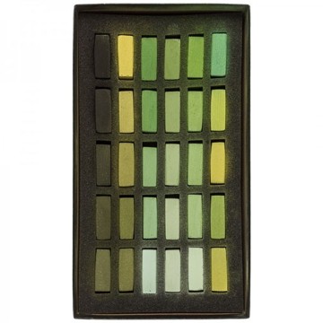 TERRY LUDWIG SCATOLA CARTONE 30 PASTELLI MORBIDI SELEZIONE WARM GREENS