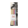 CONTÉ À PARIS SET OF 6 PASTEL PENCILS PORTRAIT