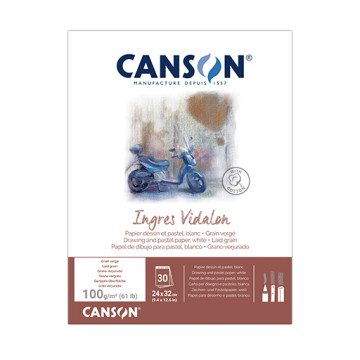 CANSON INGRES VIDALON BLOCCO PASTELLO COLLATO 1 LATO 100 G 60% COTONE