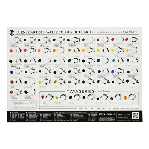 TURNER ARTISTS' WATERCOLOUR DOT CARDS CARTA COLOR ACUARELA