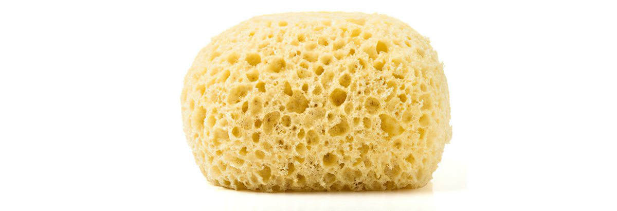 Natural Sponges