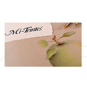 CANSON MI-TEINTES 10 SHEETS SETS 160 G ASSORTED COLOURS