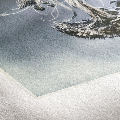 HAHNEMÜHLE DIGITAL MUSEUM ETCHING 350 G/M²
