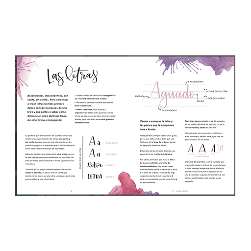 LIVRE (EN ESPAGNOL) - EL LIBRO DE LAS LETRAS BONITAS