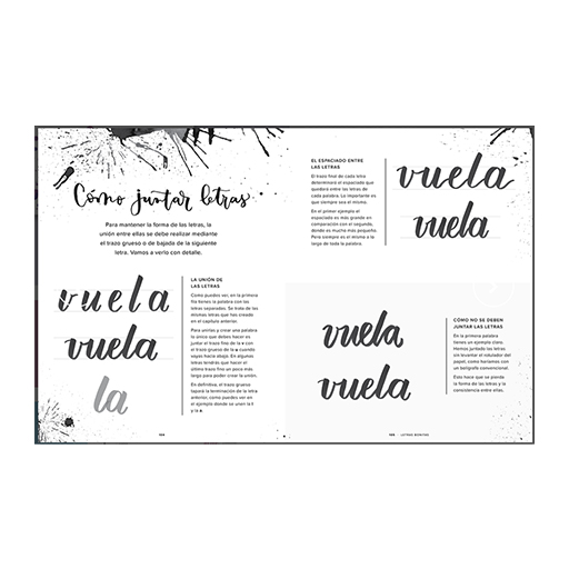 LIVRE (EN ESPAGNOL) - EL LIBRO DE LAS LETRAS BONITAS