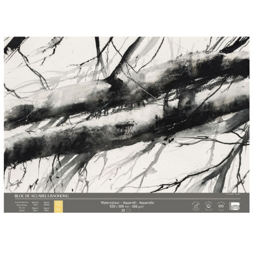 BAOHONG PLUS BLOC ACUARELA 100% ALGODÓN - 20 HOJAS - EDICIÓN ESPECIAL ARTISTAS