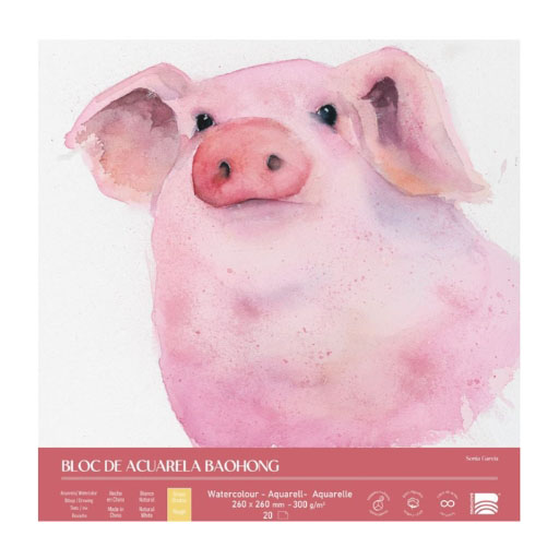 BAOHONG PLUS BLOC ACUARELA 100% ALGODÓN - 20 HOJAS - EDICIÓN ESPECIAL ARTISTAS
