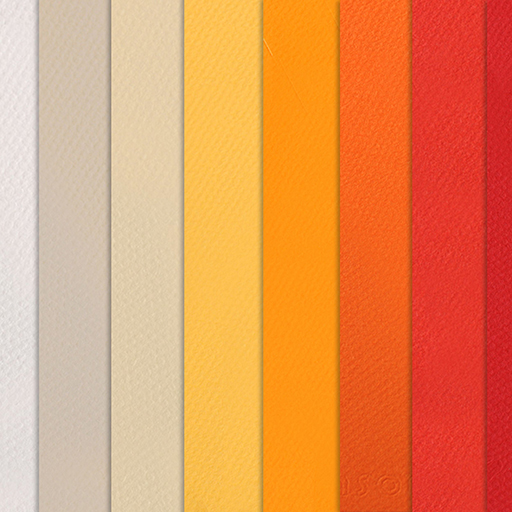 CANSON MI-TEINTES 160 G COLOURED PAPER - PACKS OF 10 SHEETS ASSORTED COLOURS