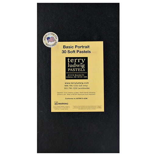 TERRY LUDWIG CARDBOARD BOX OF 30 SOFT PASTELS BASIC PORTRAIT SELECTION