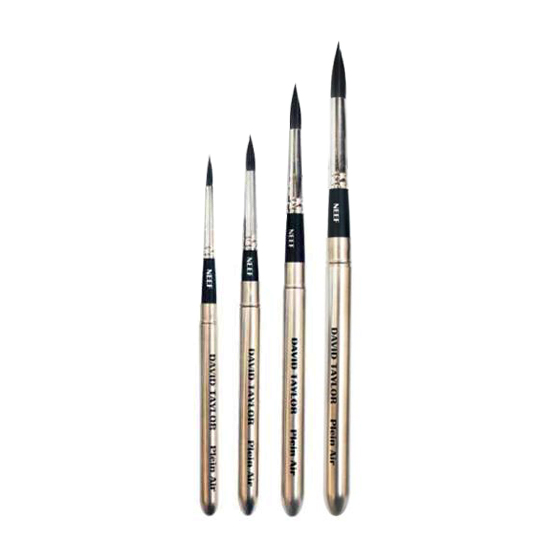 NEEF DAVID TAYLOR POCKET BRUSH PLEIN AIR PINCEL DE VIAJE REDONDO SQUIRREL MIX