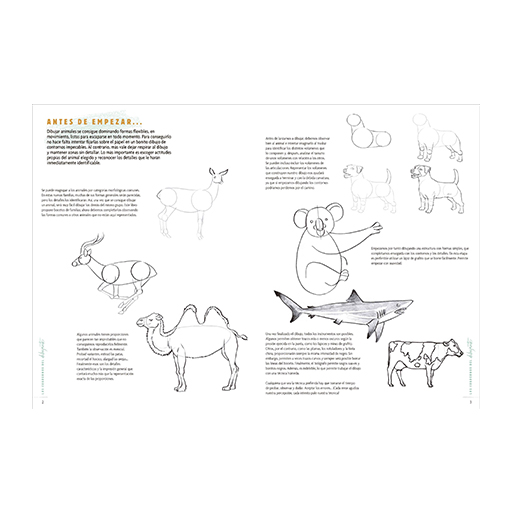 LOS CUADERNOS DEL DIBUJANTE - ANIMALES 50 MODELOS PARA EMPEZAR