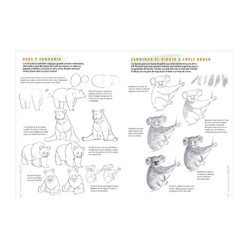 LOS CUADERNOS DEL DIBUJANTE - ANIMALES 50 MODELOS PARA EMPEZAR