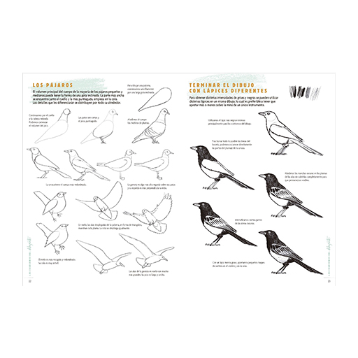 LOS CUADERNOS DEL DIBUJANTE - ANIMALES 50 MODELOS PARA EMPEZAR