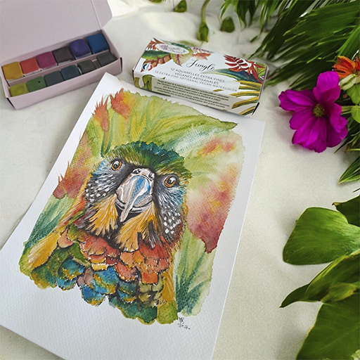 AQUARELLE DE PROVENCE BOÎTE JUNGLE 12 DEMI-GODETS D'AQUARELLE EXTRA-FINE VÉGANE ARTISANALE