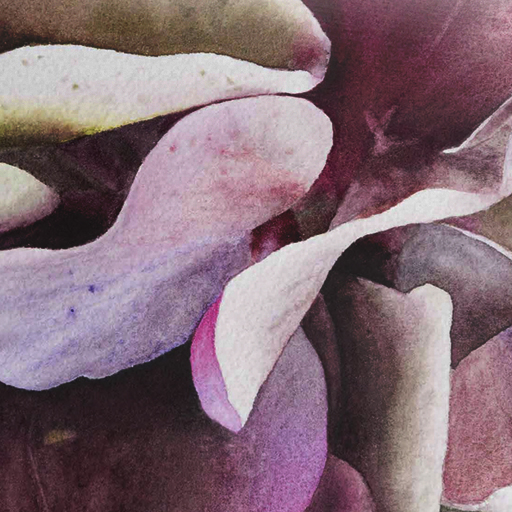 SCHMINCKE AKADEMIE AQUARELL-METALLKASTEN 12 HALBE NÄPFCHEN - HORTENSIA EDITION